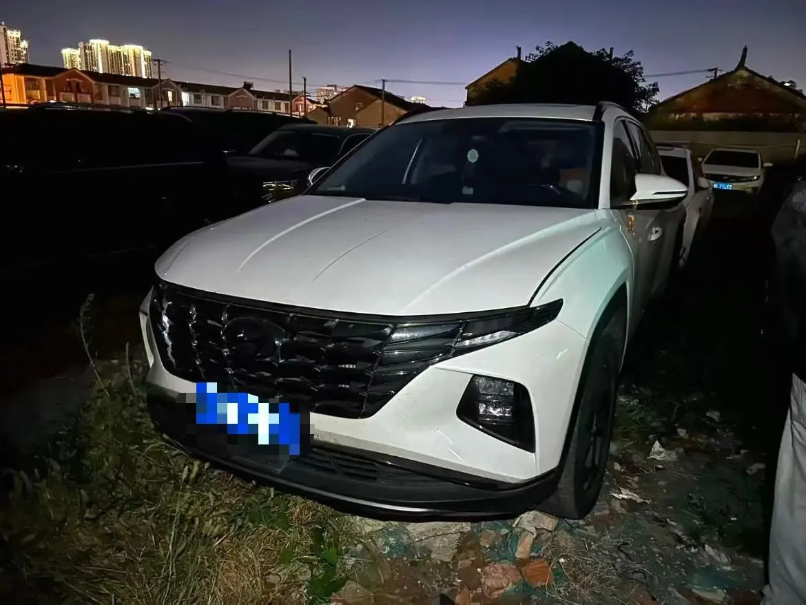 Hyundai 2021 Tousheng L 1.5T LUX Premium Edition Automatic Gear 2