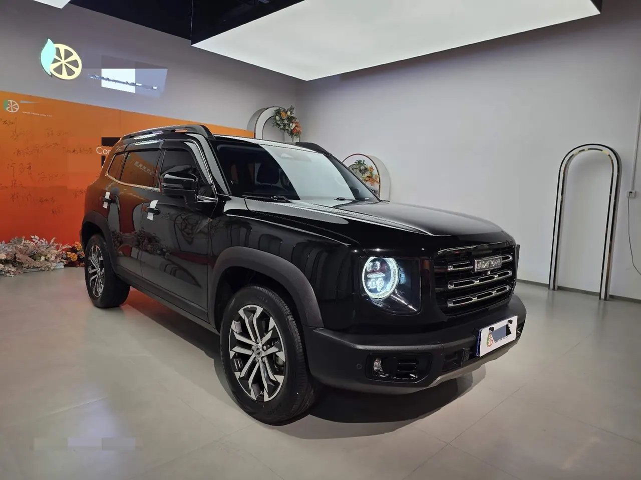 Haval 2022 big dogs 1.5T two-wheel-drive border animal husbandry version automatic gear 6