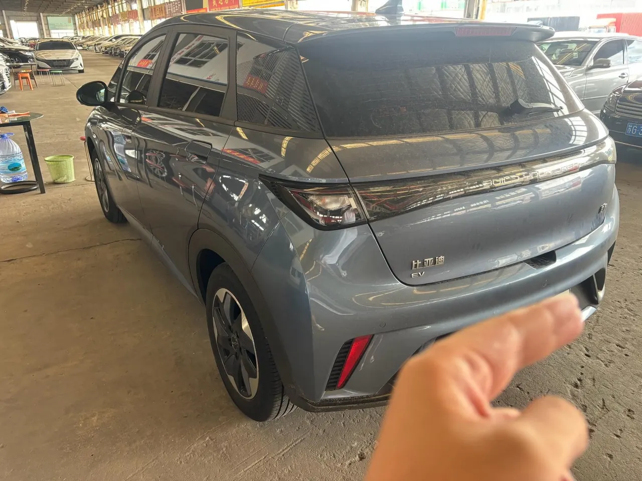 BYD 2024 Dolphin Glory 420km Free Automatic 5