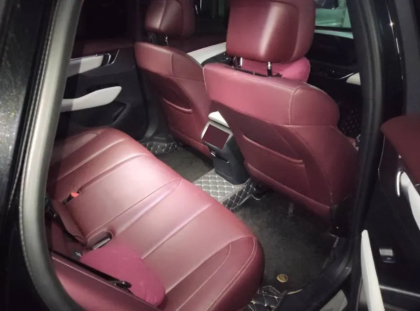 Buick 2024 LaCrosse 48V 2.0T 28T More Premium Edition Automatic Gear 6