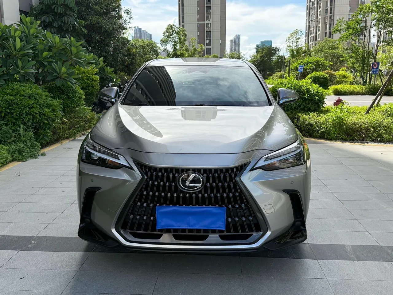 Lexus NX (Imported) 2024 NX260 2.5 Chuangchi Edition Automatic Gear 2
