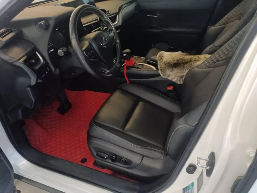 Lexus UX (Imported) 2020 UX200 2.0 Stepless Special Edition Automatic Gear 5