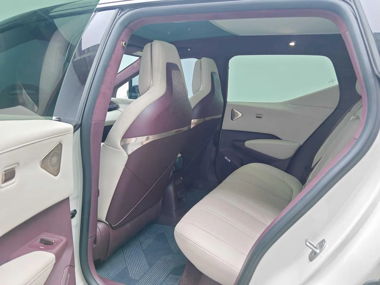 Zeekr 2024 Zeekr X five-seat four-wheel drive version of automatic gear 6