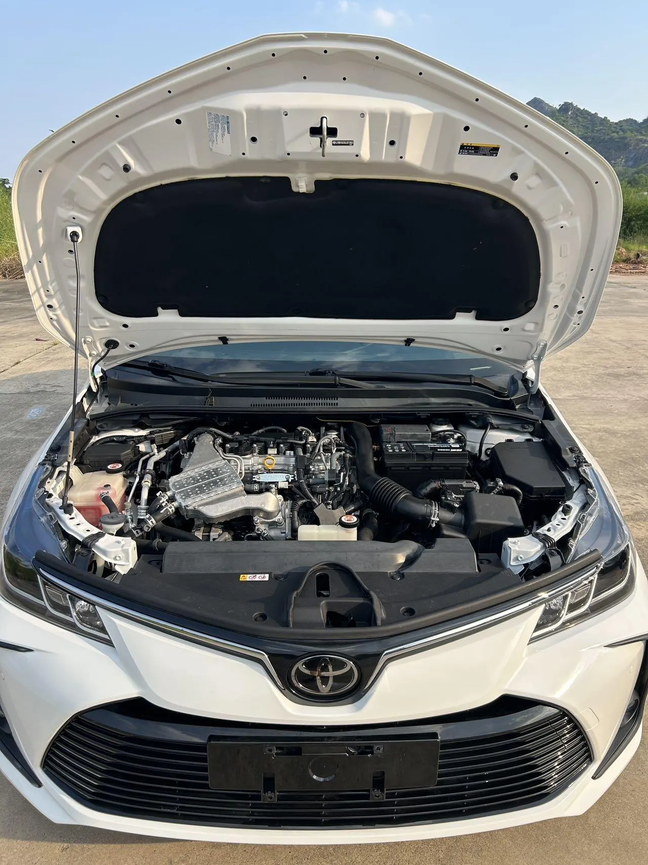 Toyota 2021 Corolla 1.2T Stepless Deluxe Edition Automatic Gear 8