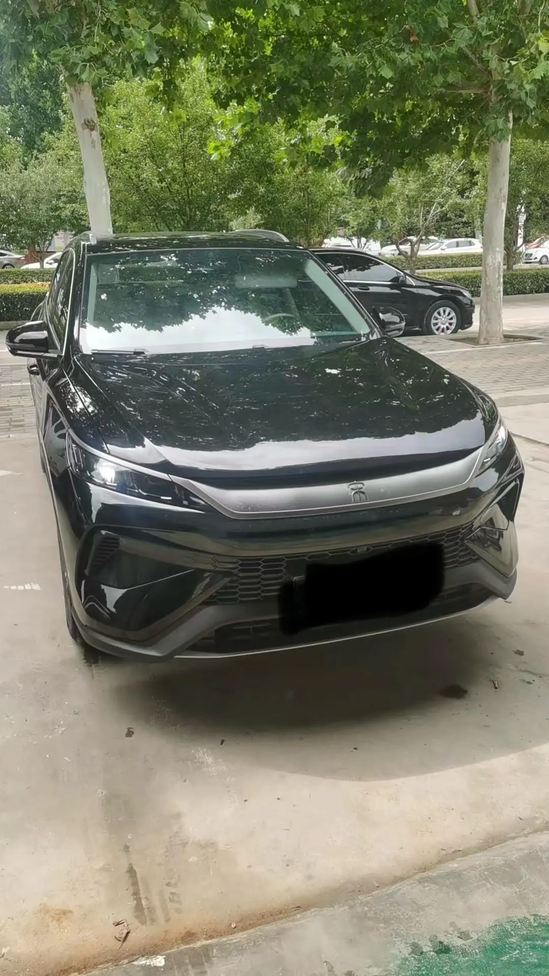 BYD Song Pro New Energy 2025 Song Pro DM-i 1.5 Stepless 115KM Exceed Automatic Gear 6
