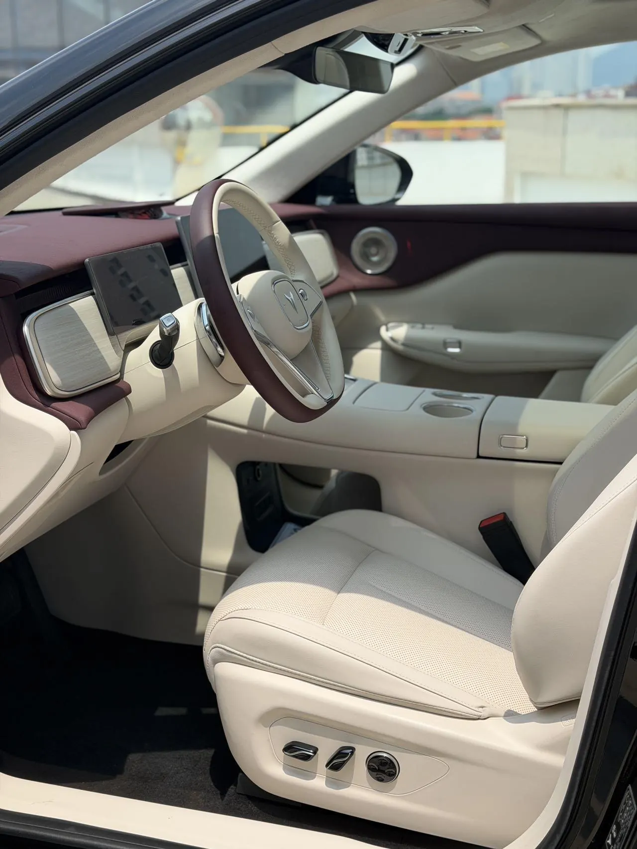Voyah 2025 bosom friend four-wheel drive dry Kun version automatic gear 4