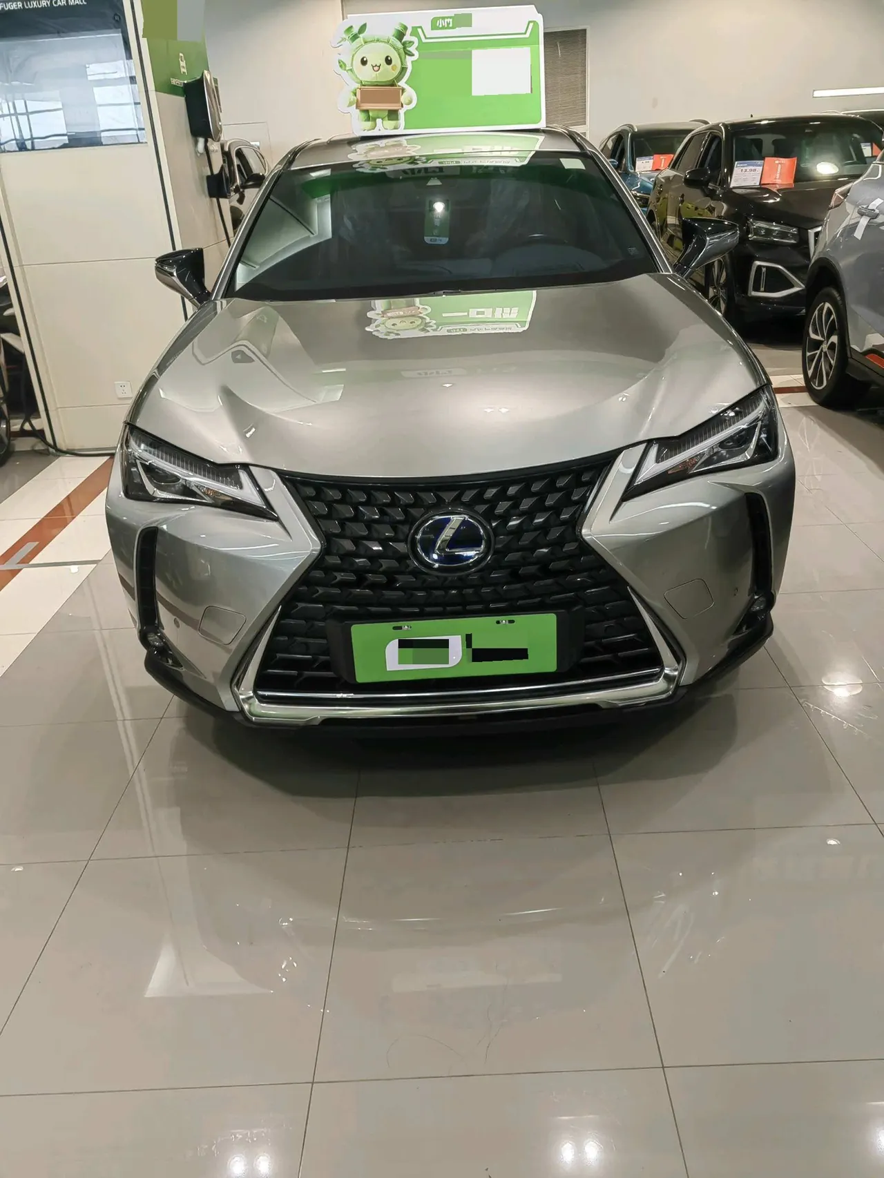 Lexus UX New Energy (Imported) 2020 UX 300e Pure and Enjoy Edition Automatic Gear 2