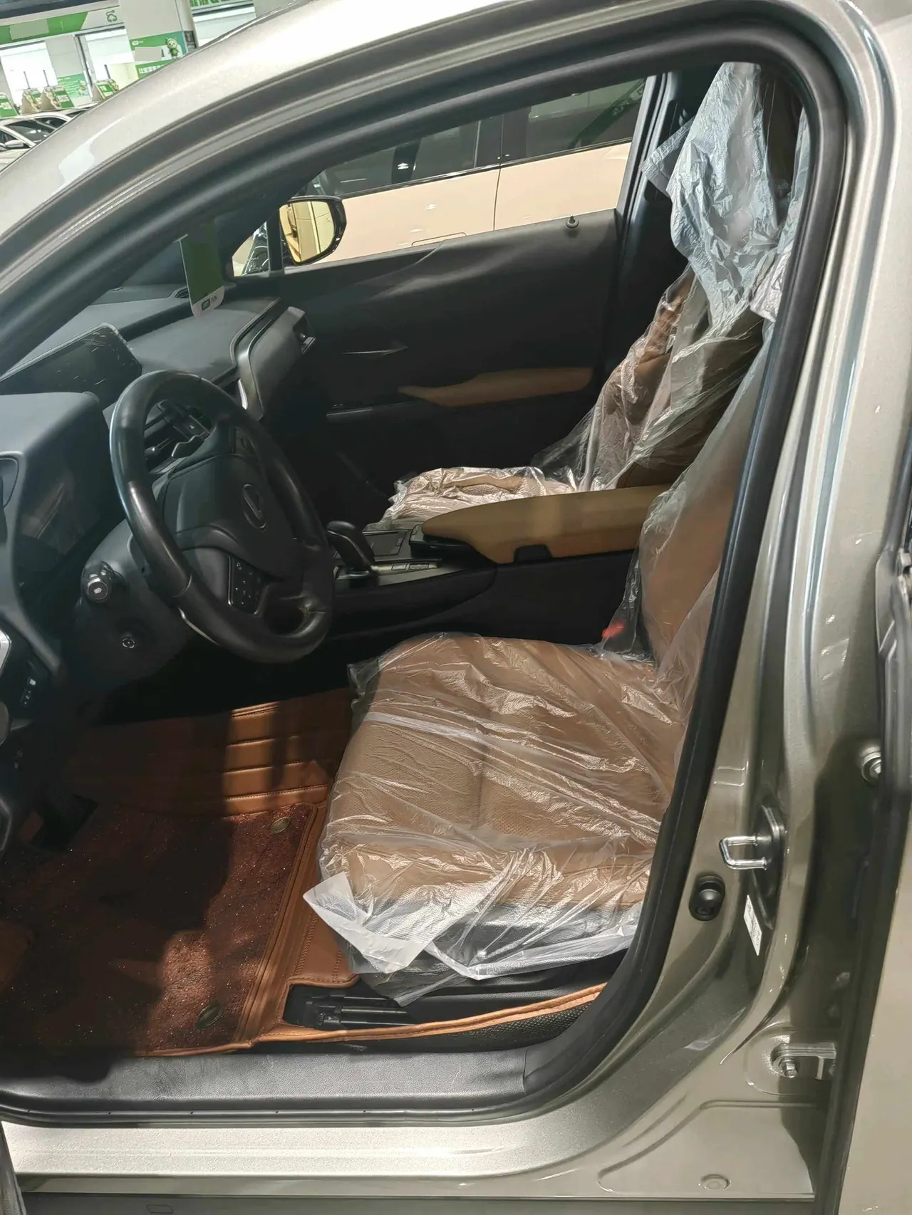 Lexus UX New Energy (Imported) 2020 UX 300e Pure and Enjoy Edition Automatic Gear 5