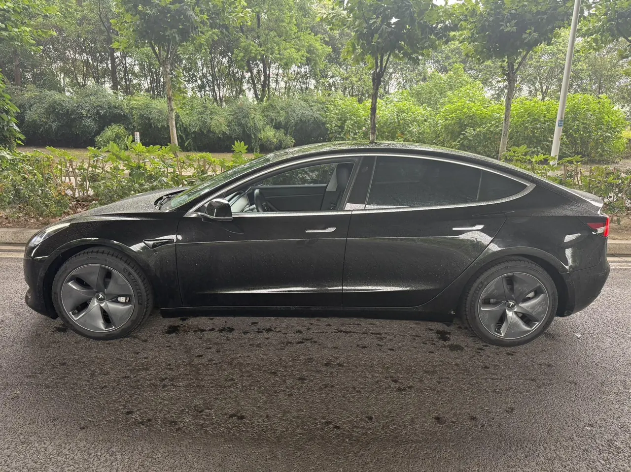 Tesla 2020 Model 3 Standard Endurance Rear Drive Upgraded Automatic Gear 4