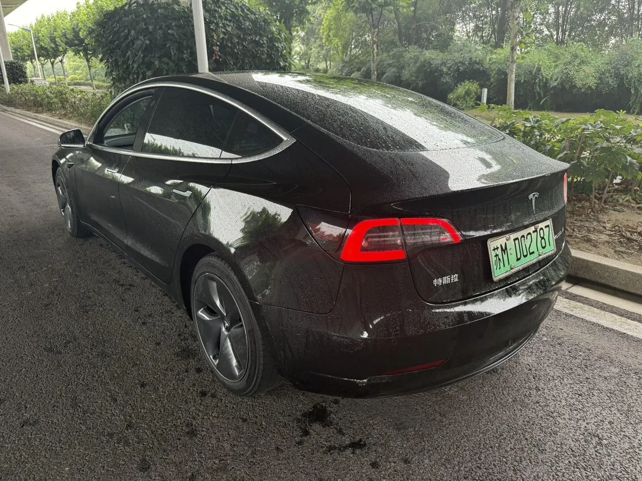 Tesla 2020 Model 3 Standard Endurance Rear Drive Upgraded Automatic Gear 5