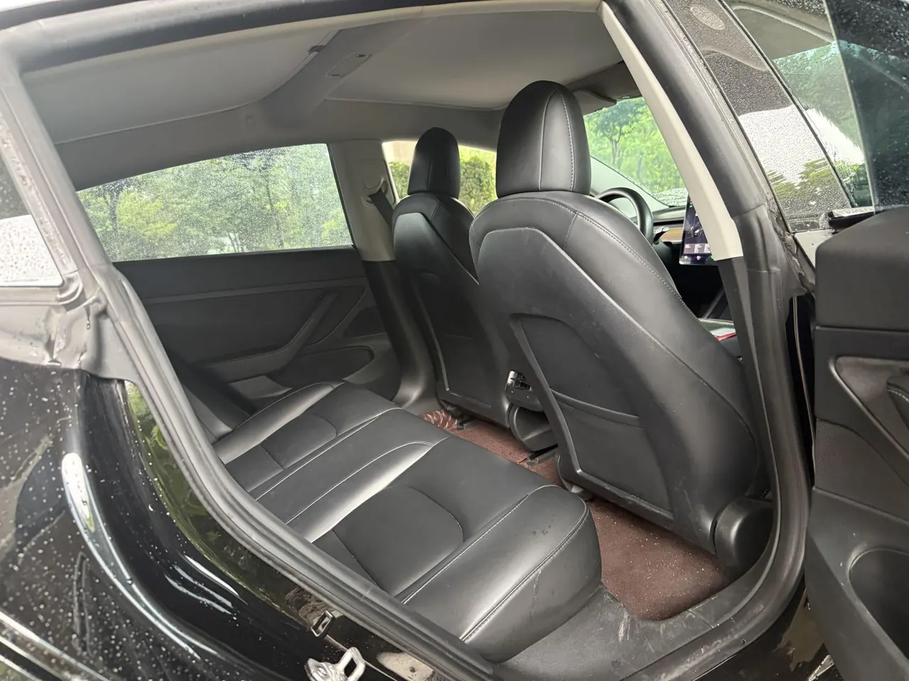 Tesla 2020 Model 3 Standard Endurance Rear Drive Upgraded Automatic Gear 6