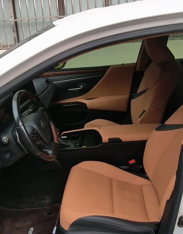 Lexus ES (Imported) 2023 ES200 2.0 Stepless Deluxe Edition Automatic Gear 4