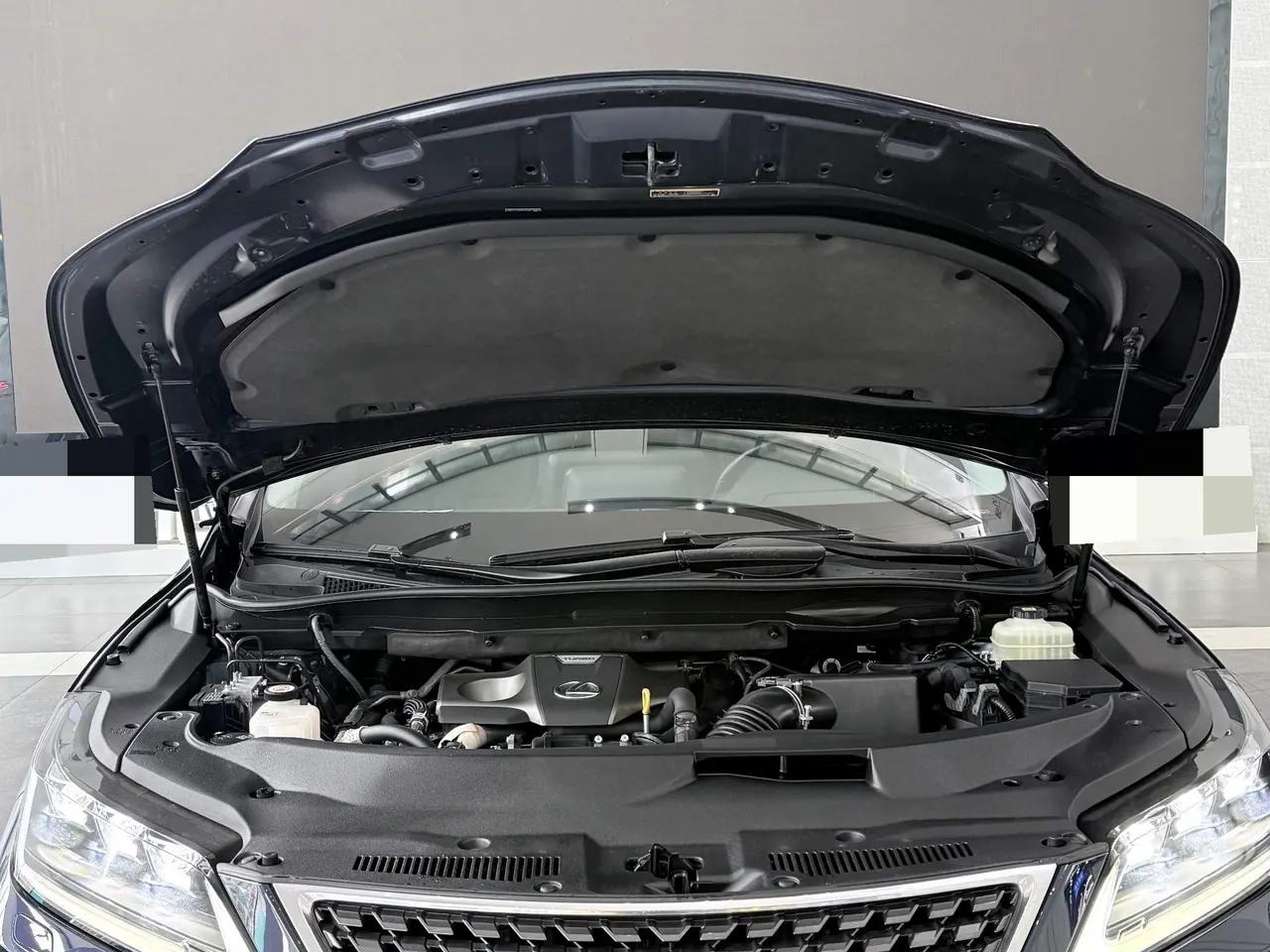 Lexus RX (Imported) 2020 RX300 2.0T Four-wheel Drive Elegant Edition (Modified) Automatic Gear 19