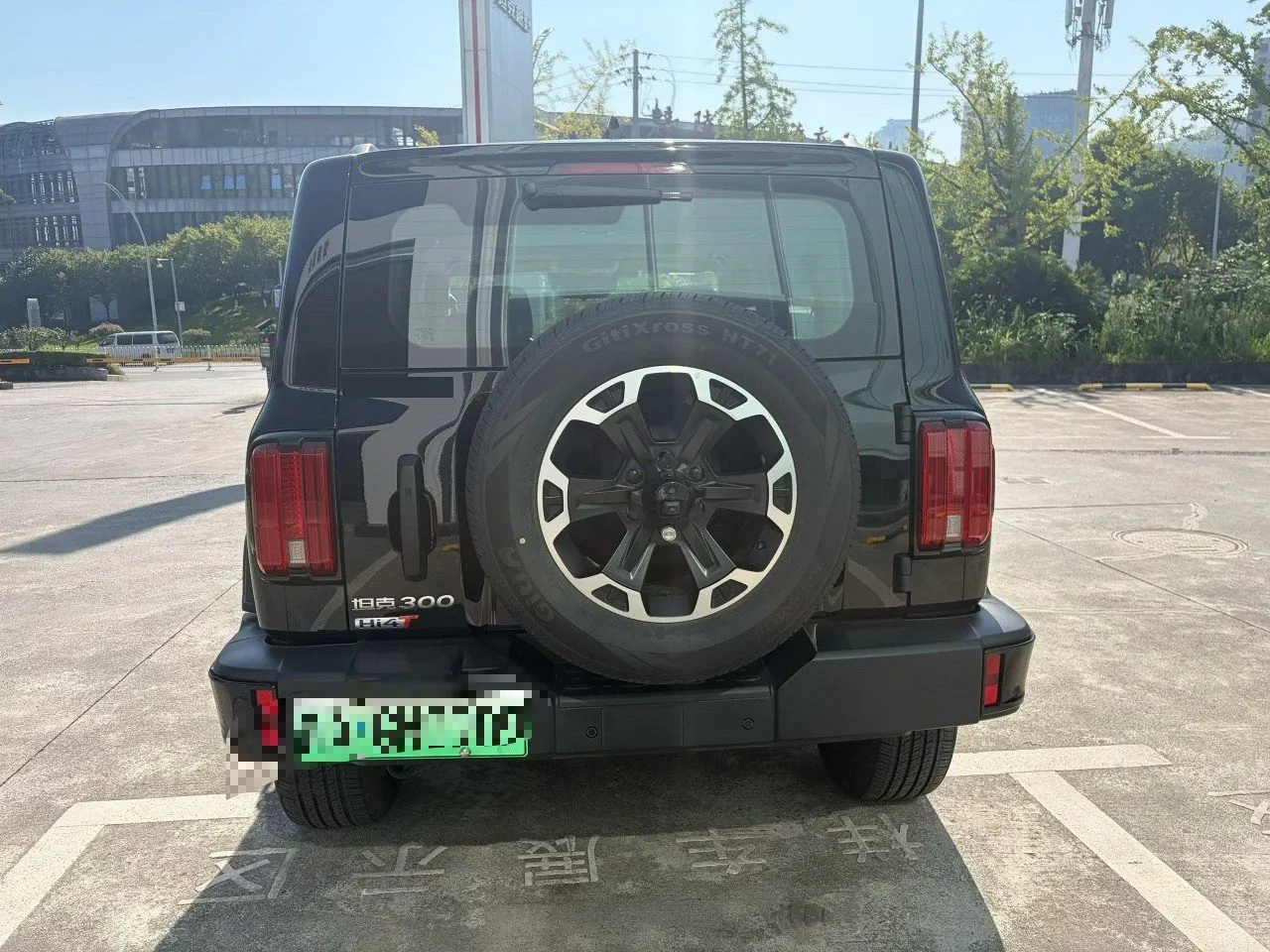 Tank 2025 model Tank 300 Hi4-T 2.0T Hi4-T automatic transmission 8