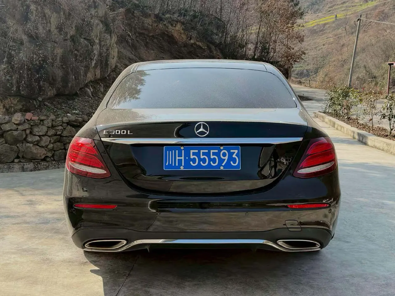 Mercedes Benz E-Class 2020 E 300 L 2.0T Sports Fashion Automatic Gear 3