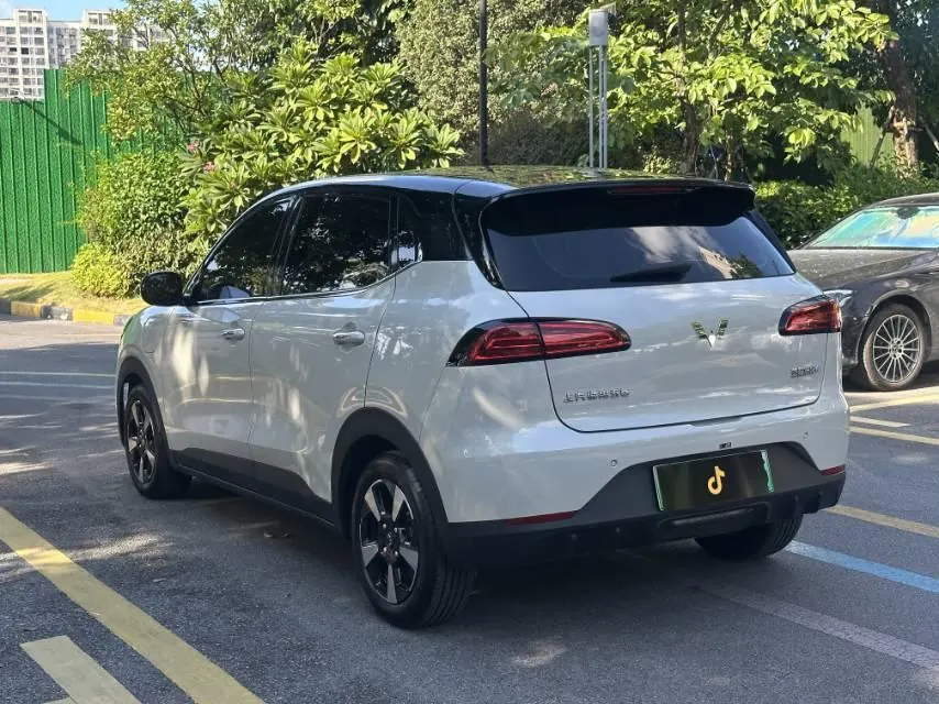 WuLing 2024 Plantronics PLUS 401km Flagship Automatic Gear 6