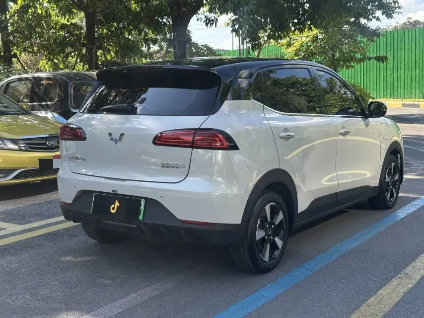 WuLing 2024 Plantronics PLUS 401km Flagship Automatic Gear 8