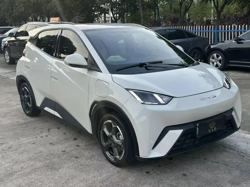 BYD 2024 Seagull Glory Edition 405km Flying Edition Automatic Gear 2