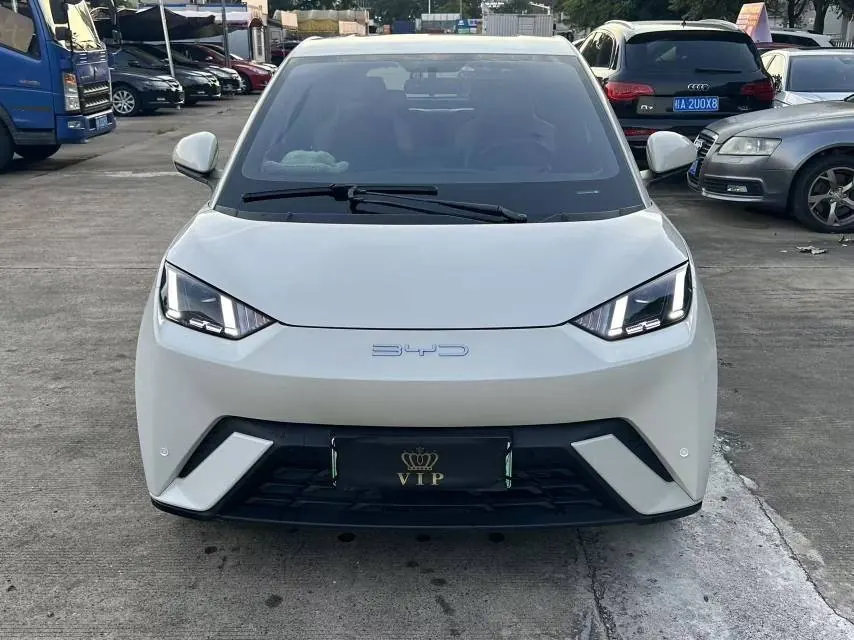 BYD 2024 Seagull Glory Edition 405km Flying Edition Automatic Gear 3