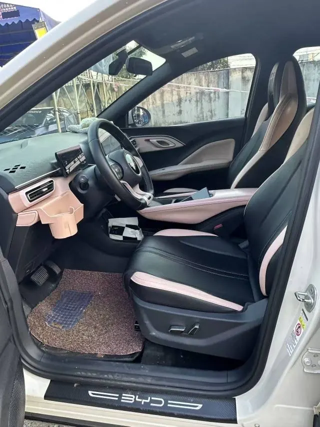 BYD 2024 Seagull Glory Edition 405km Flying Edition Automatic Gear 7