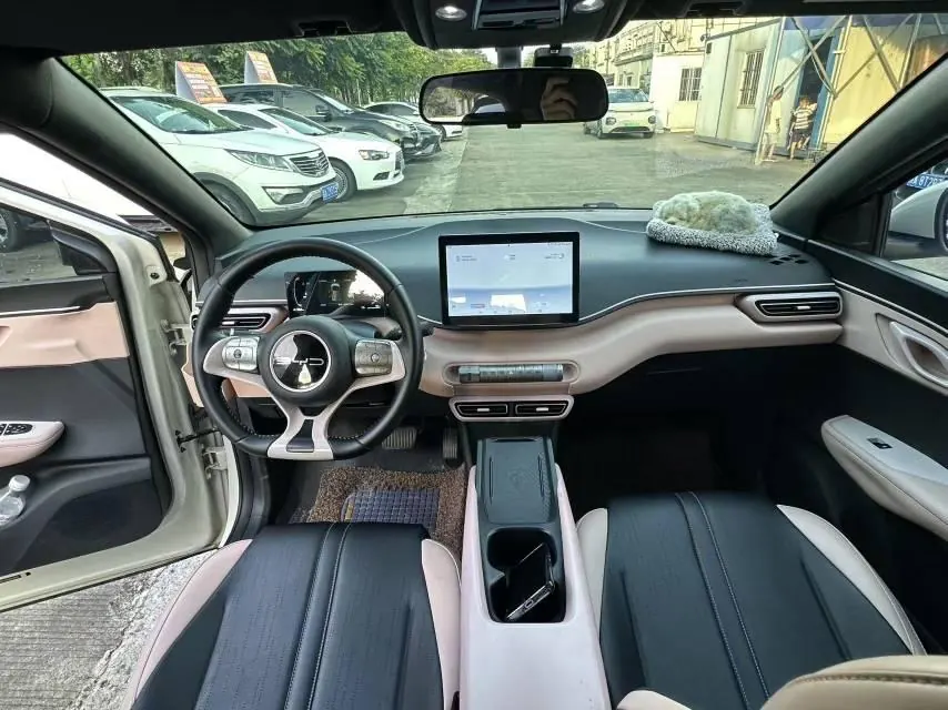 BYD 2024 Seagull Glory Edition 405km Flying Edition Automatic Gear 9