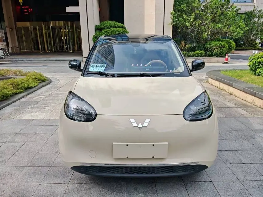 WuLing 2025 Plantronics 333km Enjoy Automatic Gear 3
