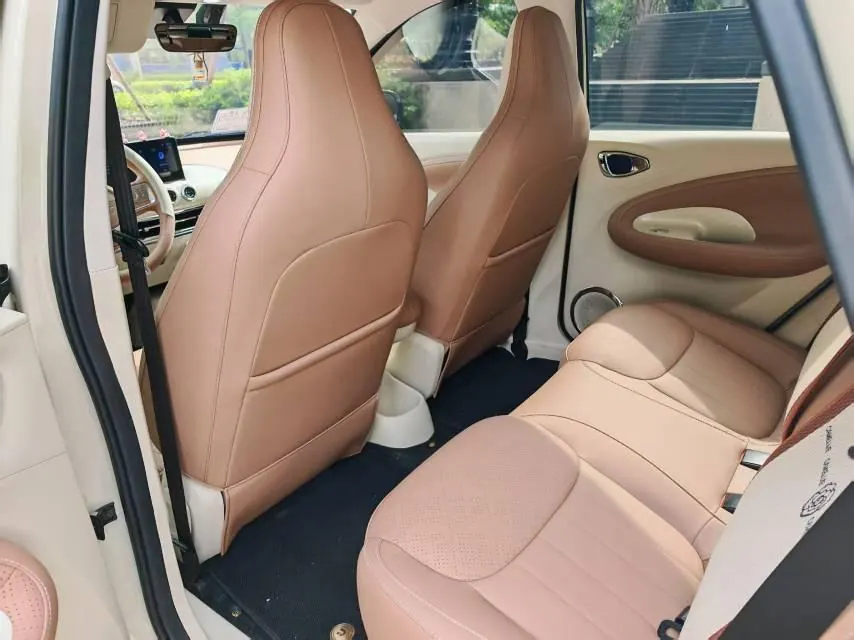 WuLing 2025 Plantronics 333km Enjoy Automatic Gear 5
