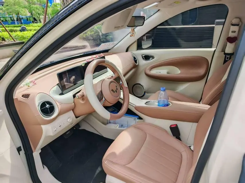 WuLing 2025 Plantronics 333km Enjoy Automatic Gear 6