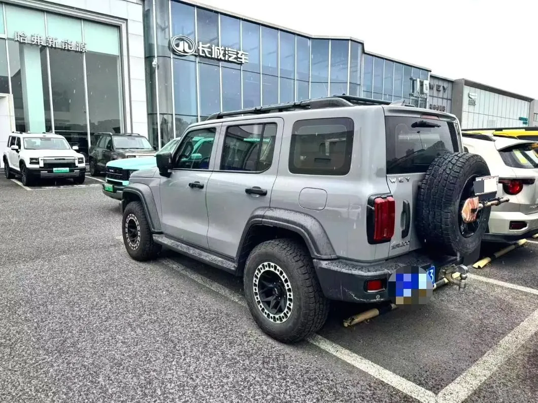 Tank 2021 Tank 300 2.0T Off-road Conqueror Automatic 3