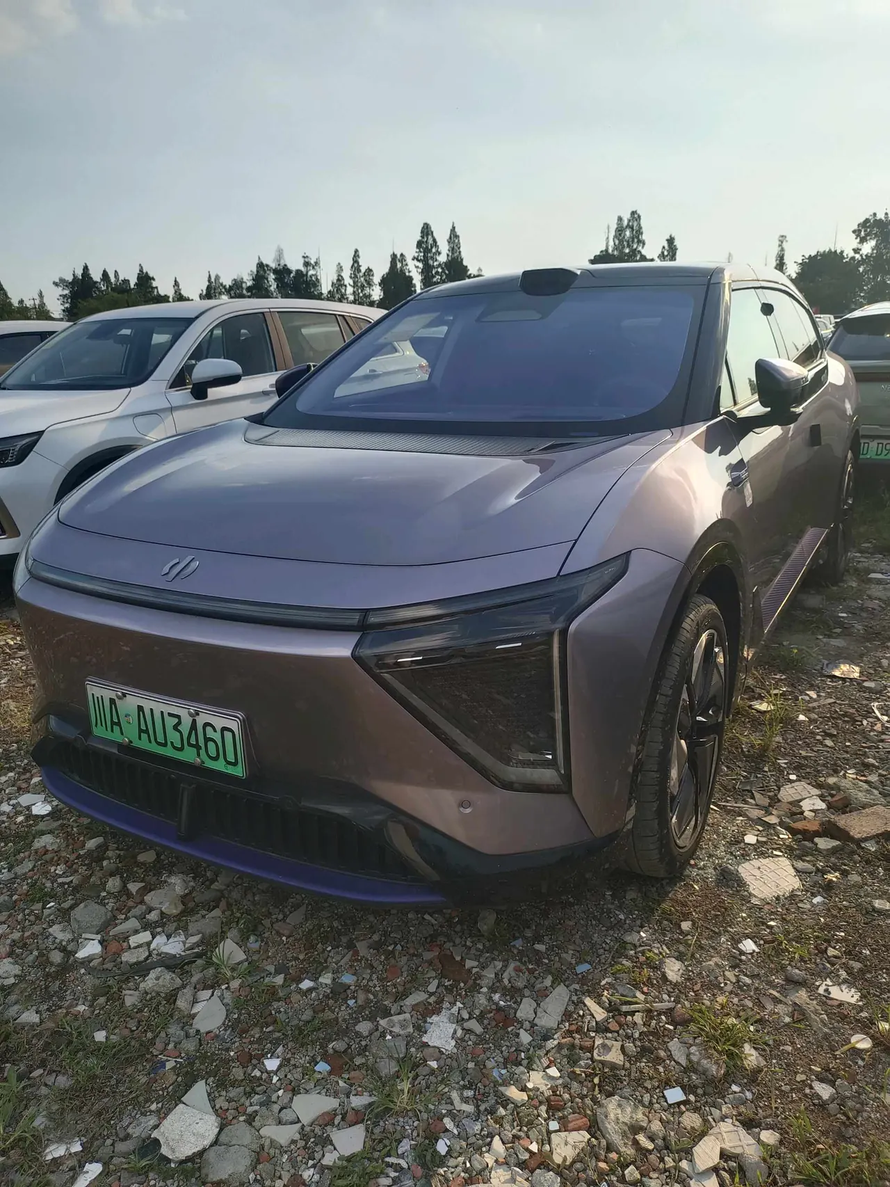 HiPhi 2023 HiPhi Y 560km Elite Automatic Gear - View 1