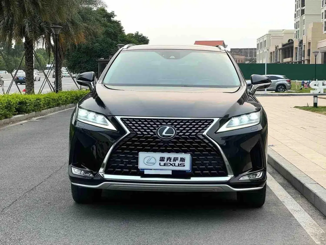 Lexus RX (Imported) 2020 RX300 2.0T Four-wheel Drive Elegant Edition (Modified) Automatic Gear 3