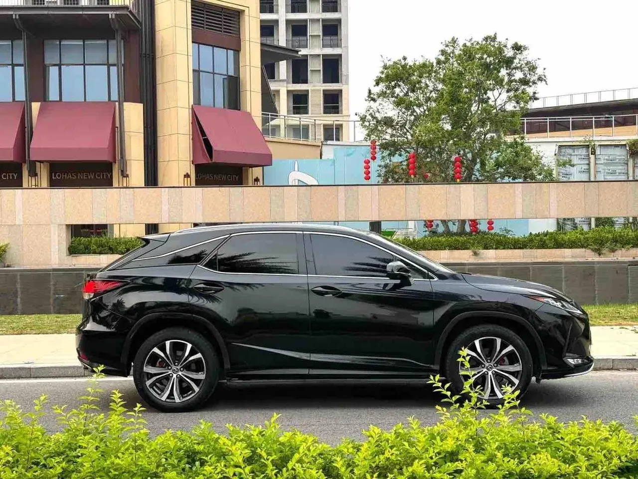 Lexus RX (Imported) 2020 RX300 2.0T Four-wheel Drive Elegant Edition (Modified) Automatic Gear 4