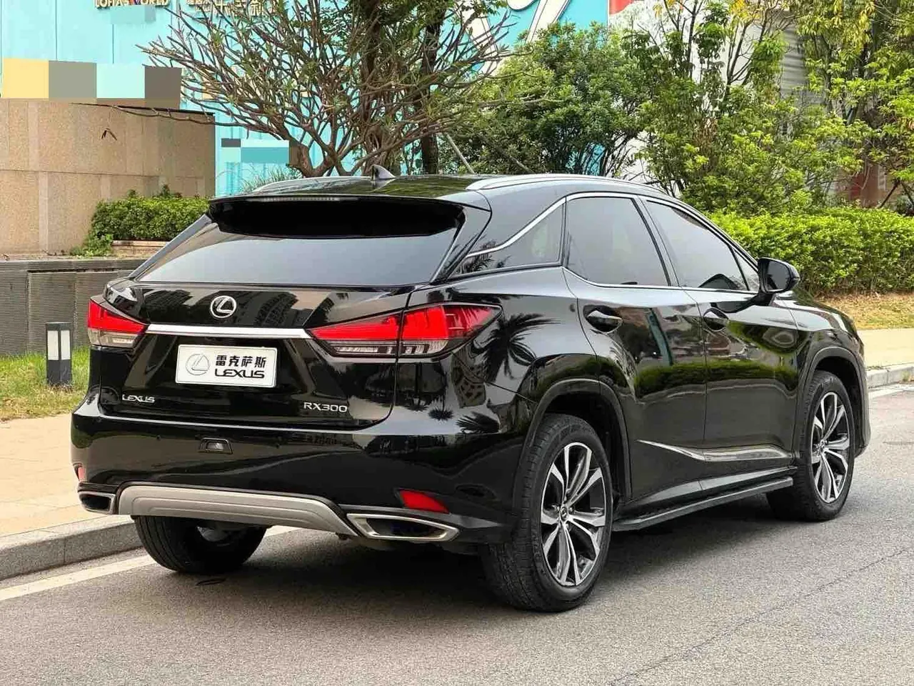 Lexus RX (Imported) 2020 RX300 2.0T Four-wheel Drive Elegant Edition (Modified) Automatic Gear 6