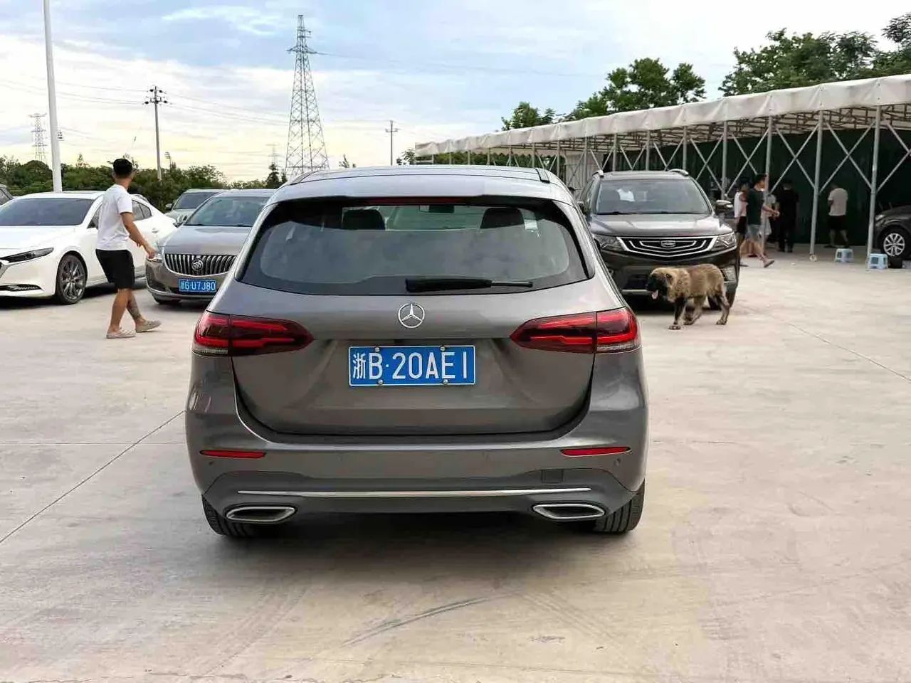 Mercedes Benz Class B (Imported) 2020 B 200 1.3T Dynamic Automatic 5