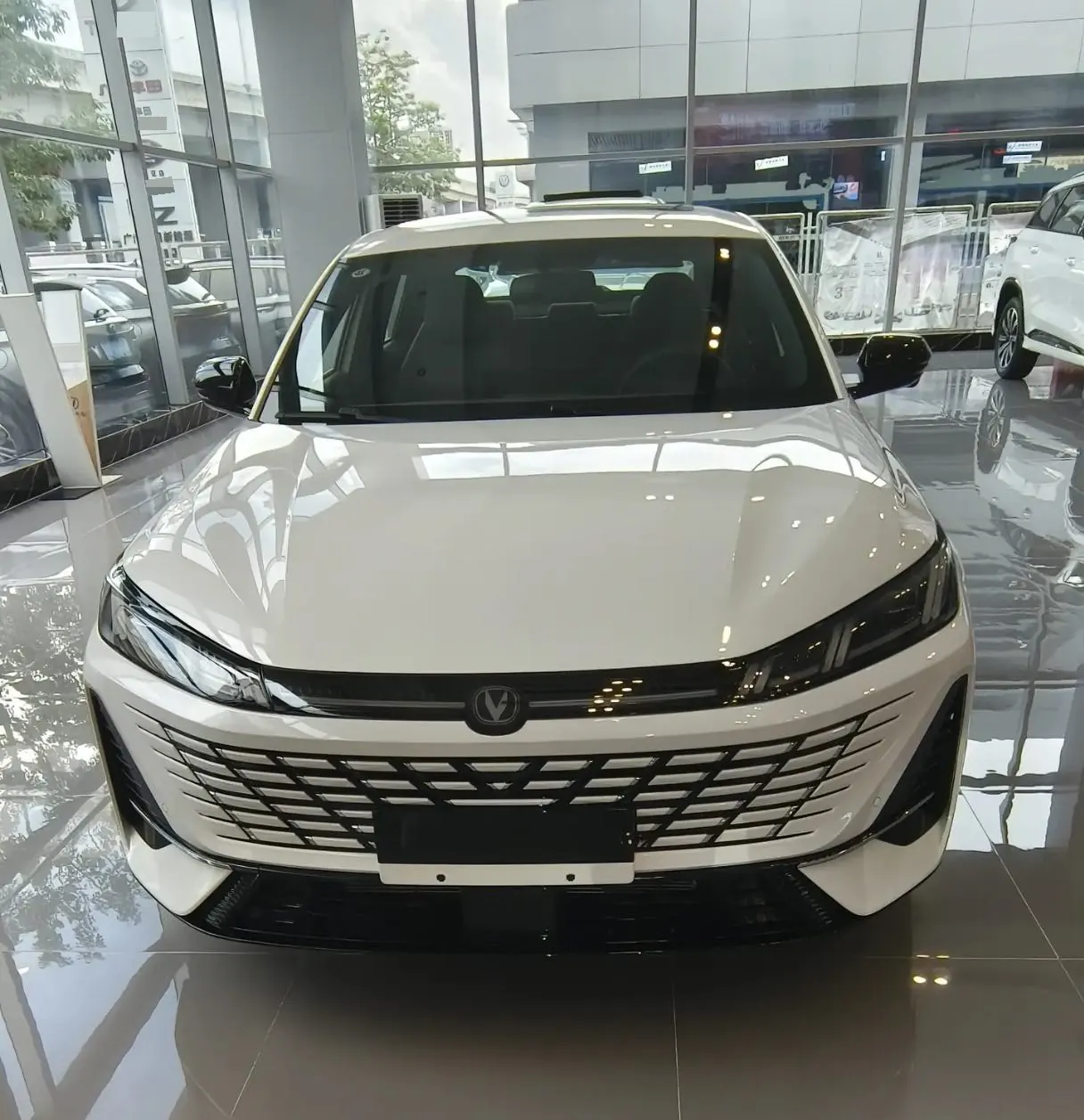 ChangAn 2024 Yidong PLUS 1.4TGDI Blue Whale NE High Energy Edition Automatic Gear 3