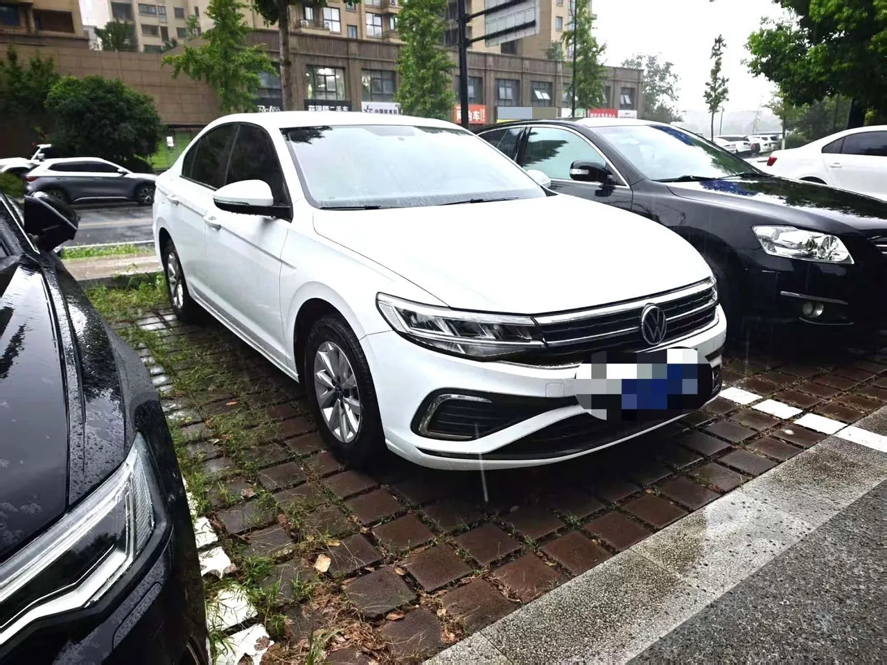 Volkswagen 2024 Bora 1.2TSI 200TSI Smooth Edition Automatic 3