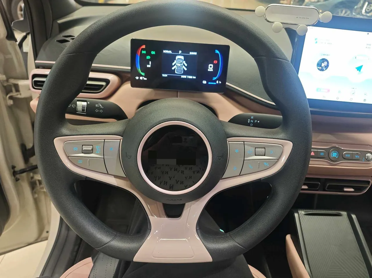 BYD 2025 Seagull Smart Driving Edition 305km Vital Edition Automatic Gear 12