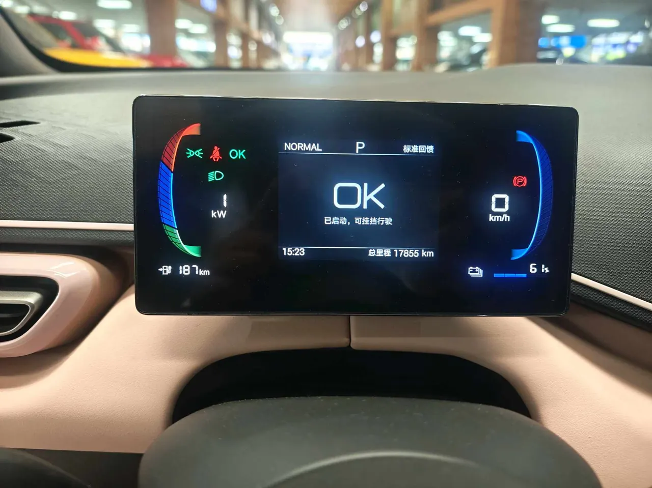 BYD 2025 Seagull Smart Driving Edition 305km Vital Edition Automatic Gear 19