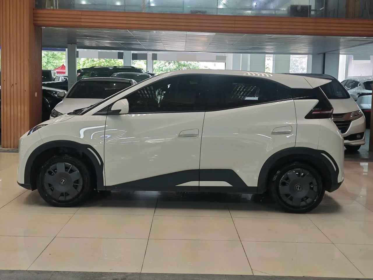 BYD 2025 Seagull Smart Driving Edition 305km Vital Edition Automatic Gear 7