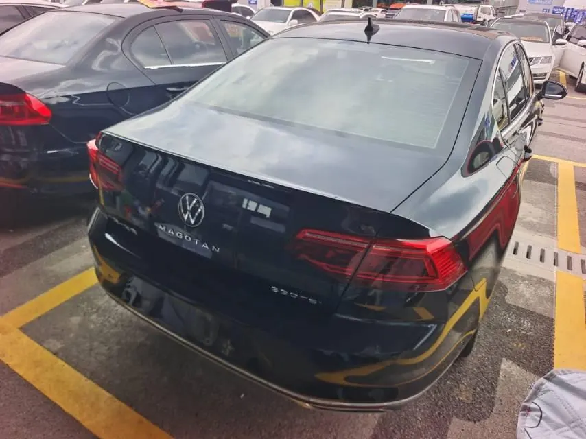 Volkswagen 2020 Magotan 2.0TSI 330TSI luxury automatic transmission 5