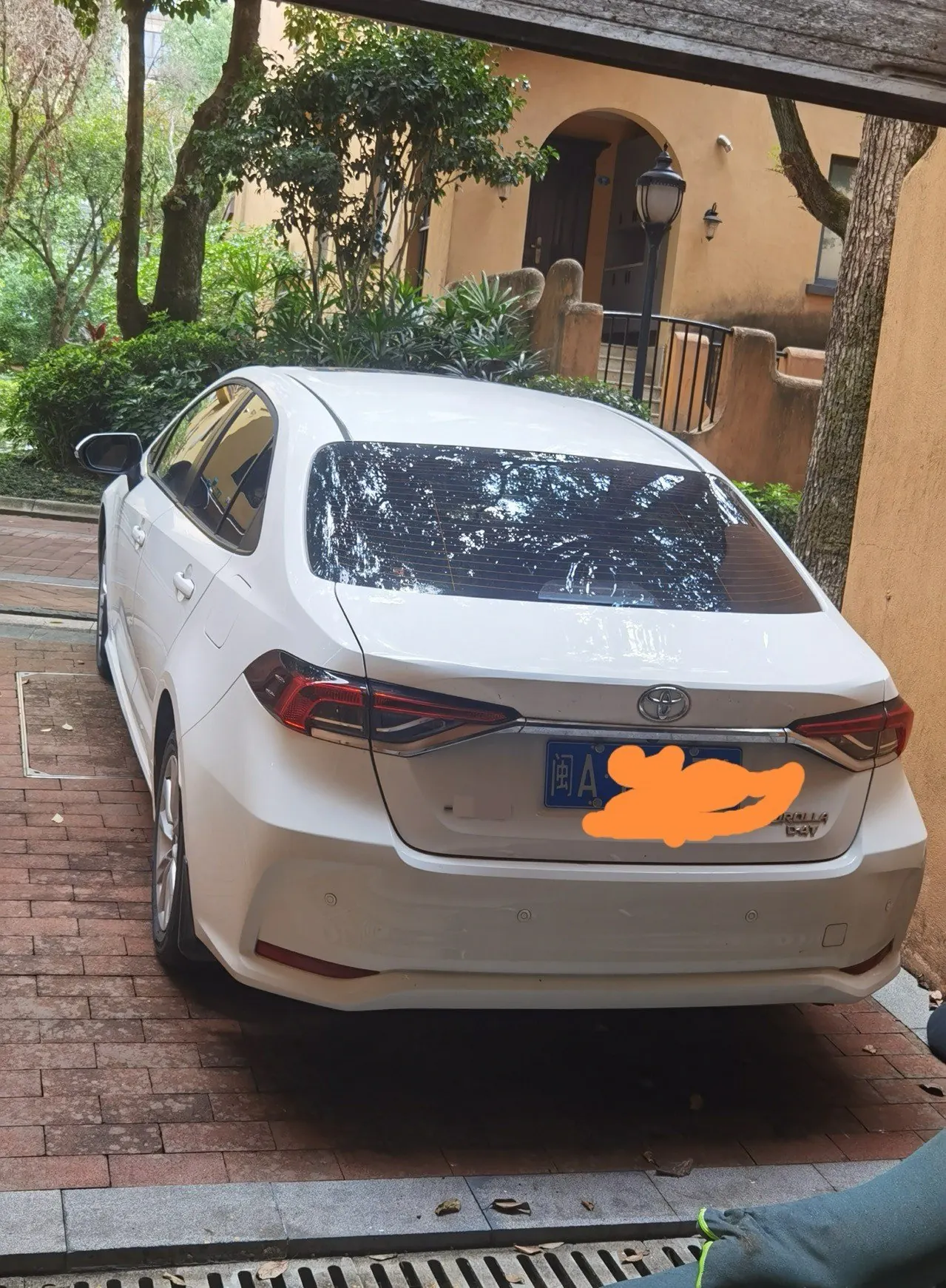 Toyota 2023 corolla 1.2T stepless elite version of automatic gear 2