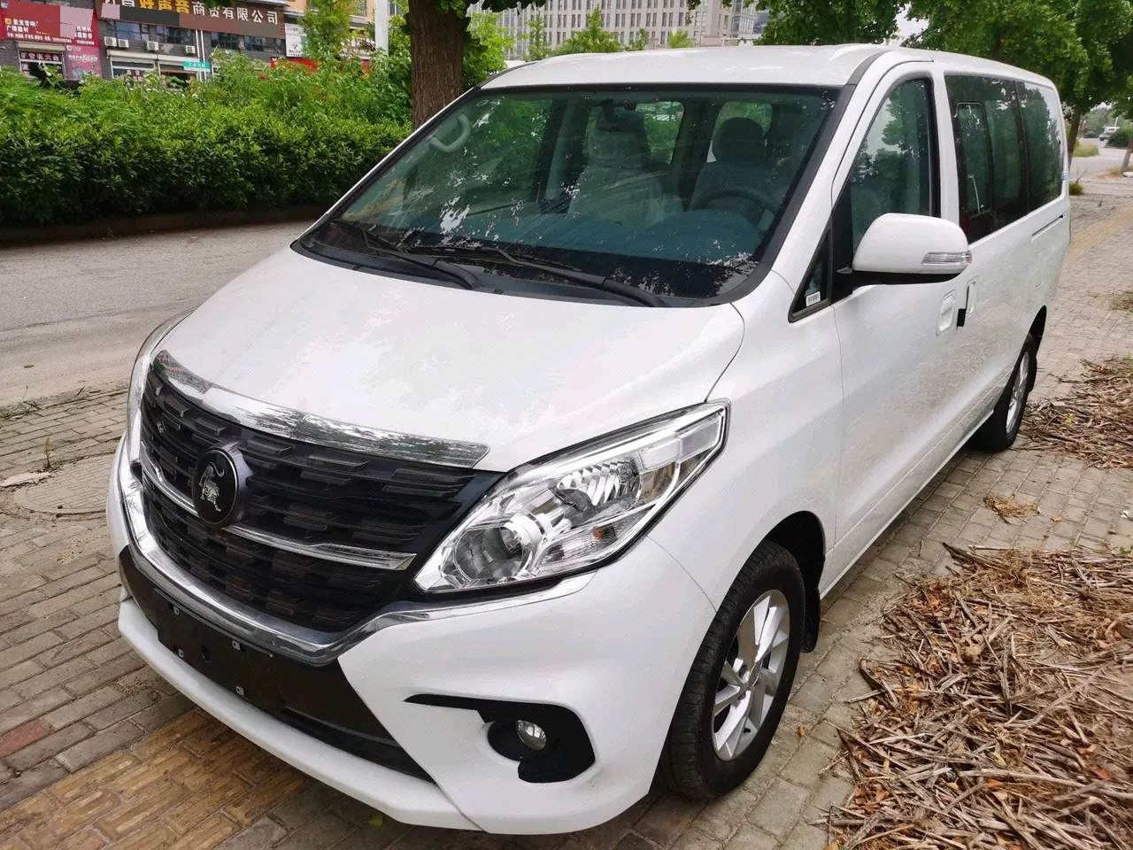Fashion Lingzhi PLUS 2024 Lingzhi PLUS 1.5T Luxury 7-seat Manual Gear - View 1