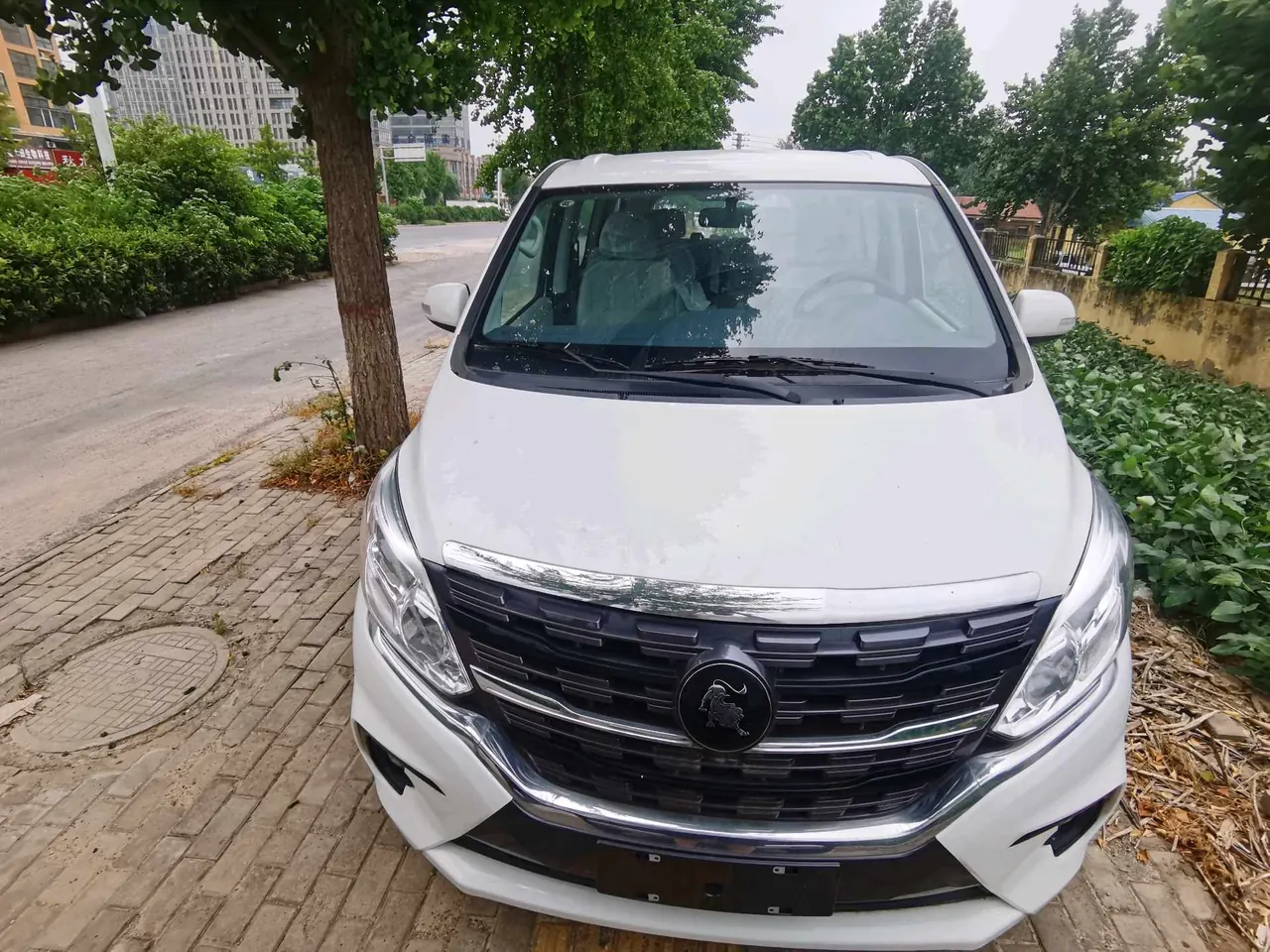 Fashion Lingzhi PLUS 2024 Lingzhi PLUS 1.5T Luxury 7-seat Manual Gear 2