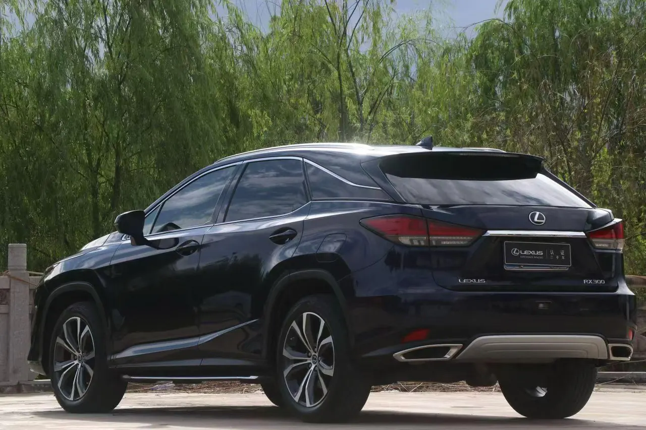 Lexus RX (Imported) 2020 RX300 2.0T Four-wheel Drive Elegant Edition (Modified) Automatic Gear 2