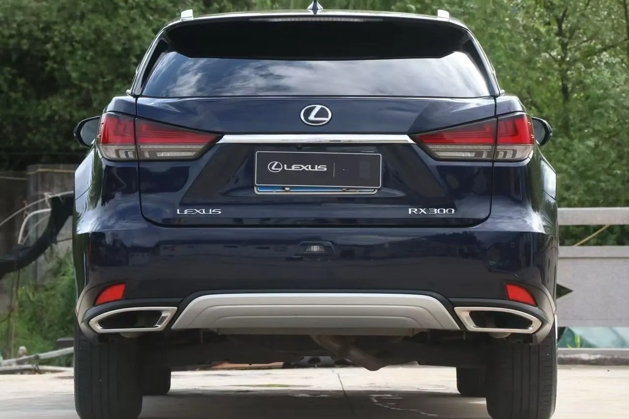 Lexus RX (Imported) 2020 RX300 2.0T Four-wheel Drive Elegant Edition (Modified) Automatic Gear 3