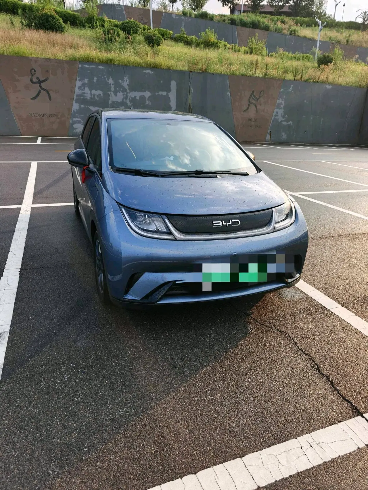 BYD 2025 Dolphins 420km Free Edition Automatic 2