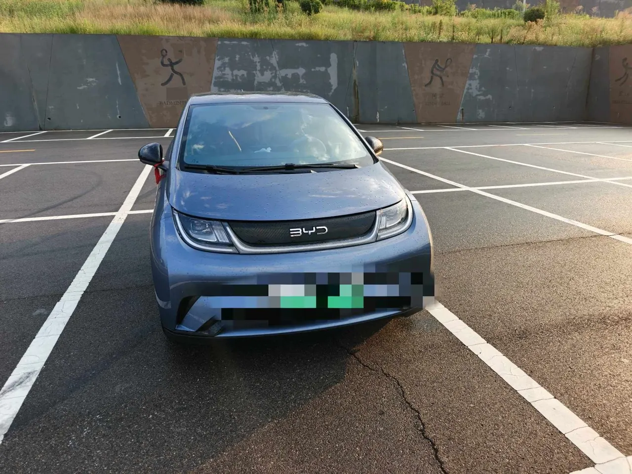 BYD 2025 Dolphins 420km Free Edition Automatic 4