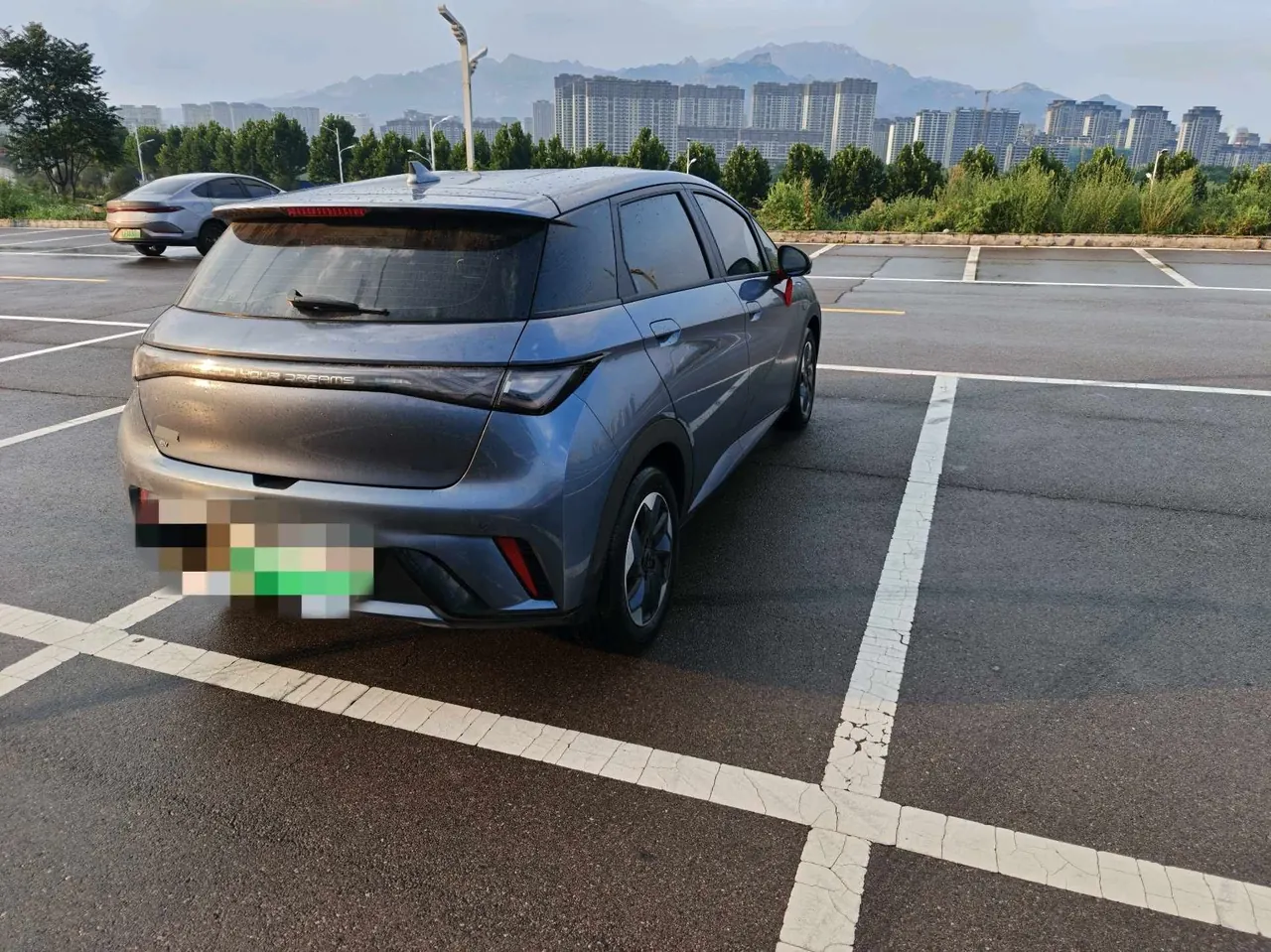 BYD 2025 Dolphins 420km Free Edition Automatic 7