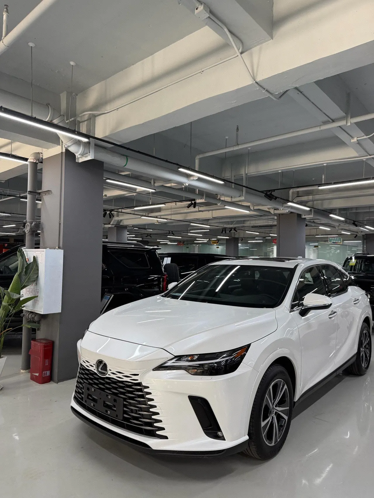 Open image lightbox: Lexus RX (Imported) 2026 RX300 2.0T Four-wheel Drive Edition Automatic Gear