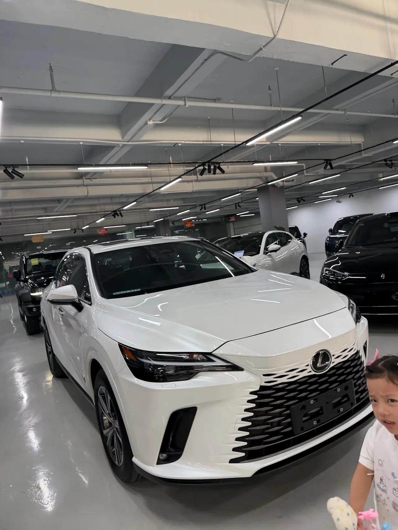 Lexus RX (Imported) 2026 RX300 2.0T Four-wheel Drive Edition Automatic Gear 3
